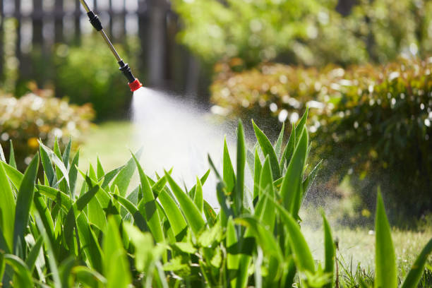 24/7 Emergency Mosquito Control experts in Harrison, OH