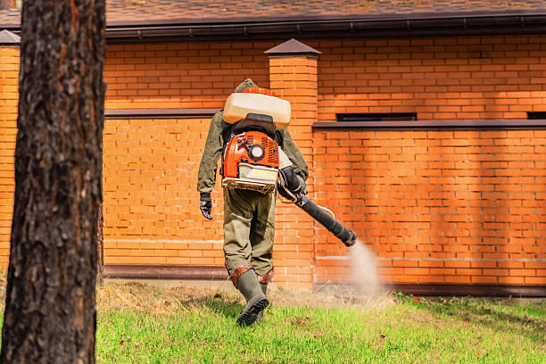 Trusted Bed Bug Control service in Harrison, OH - Nex Pest Control